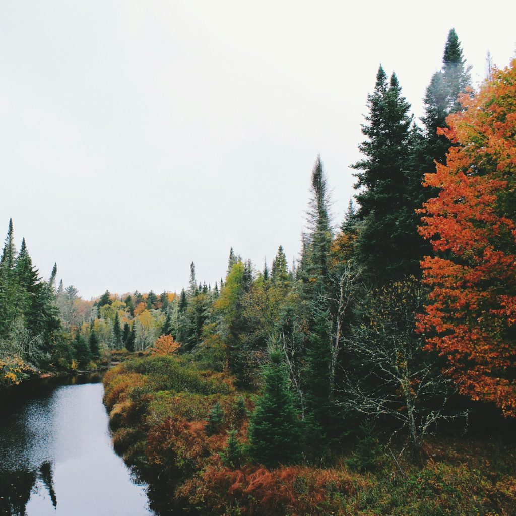 Ein ruhiger Fluss zwischen herbstlichen Bäumen